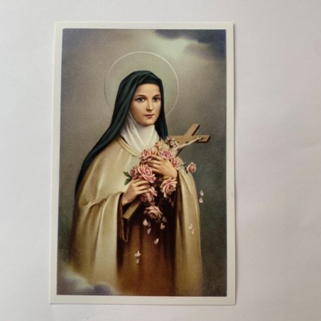 Bidprentje heilige Theresia van Lisieux