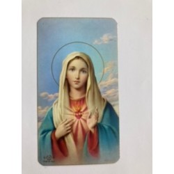Bidprentje Maria met heilig hart